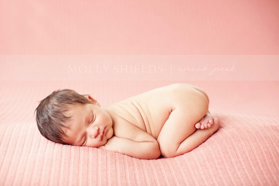 newborn photographer Minneapolis