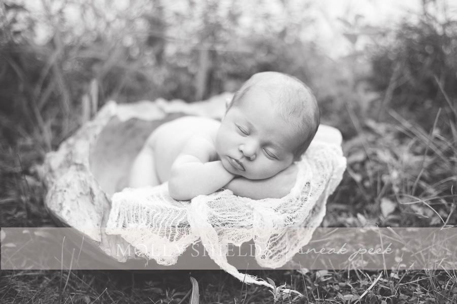 Apple Valley newborn photographer