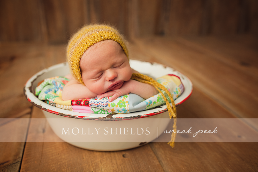 Minneapolis Maternity and Newborn photographer