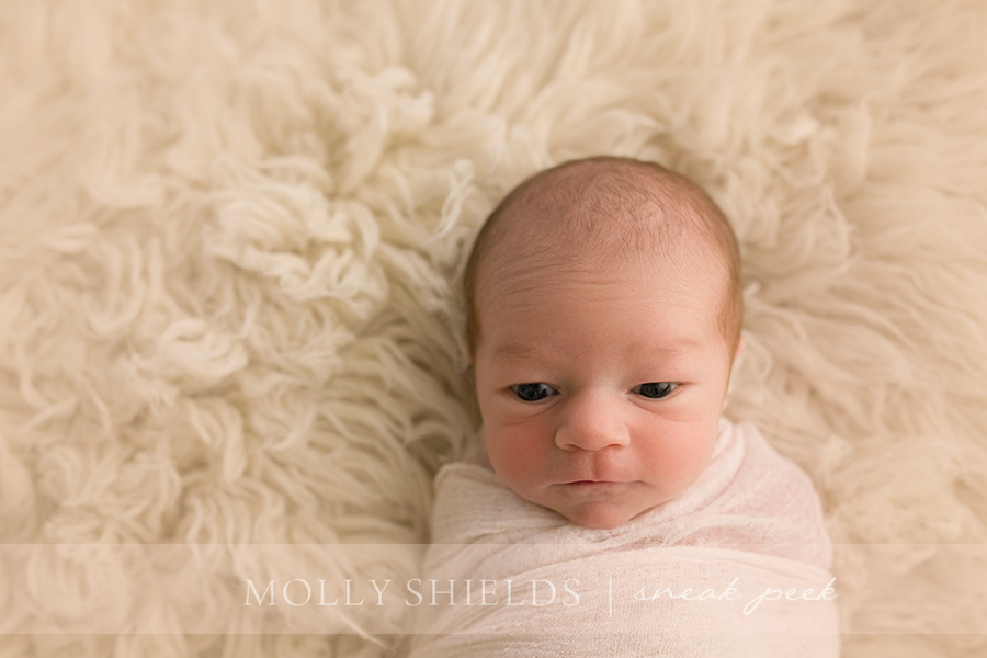 MInneapolis Newborn Photographer
