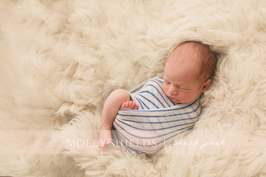MInneapolis Newborn Photographer