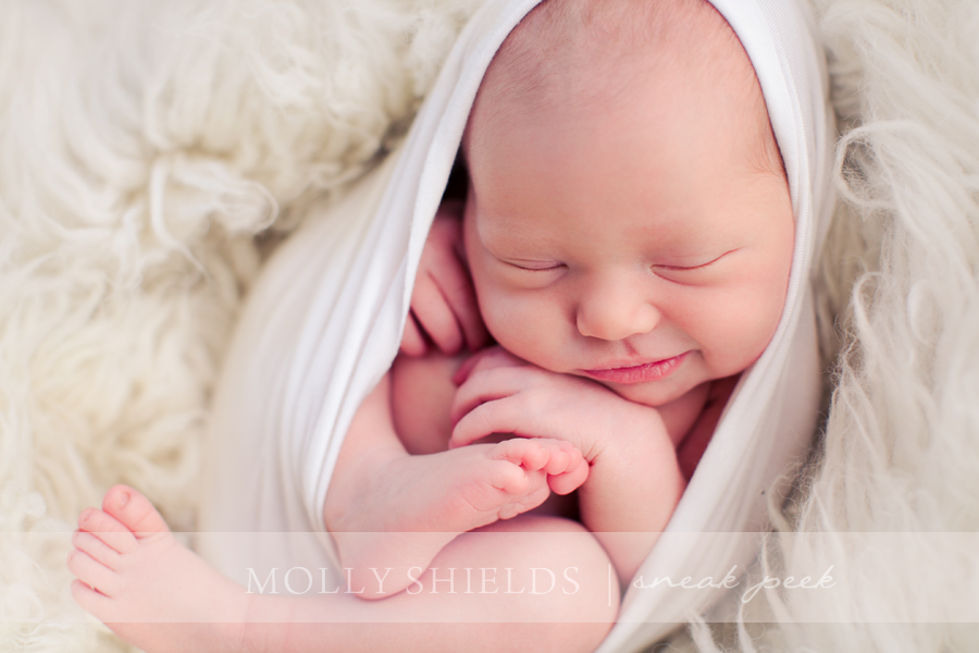 Molly Shields Photography | Minneapolis Newborn Photographer