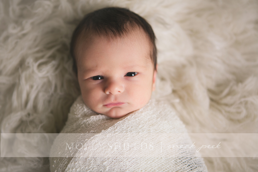 https://mollyshieldsphotography.com/sweet-oliver-minneapolis-newborn-photographer/