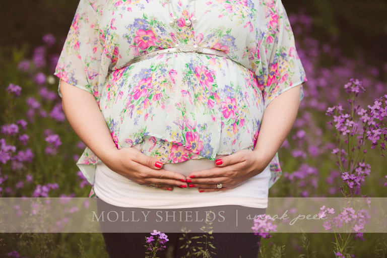 Minneapolis Maternity and newborn photographe