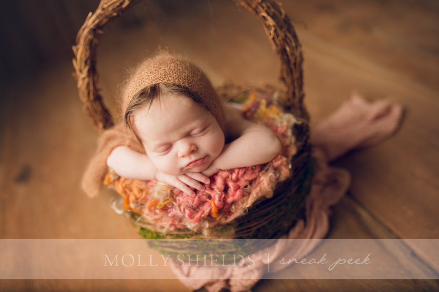 Minneapolis newborn Photographer