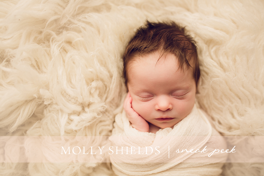 Minneapolis maternity and newborn photographer