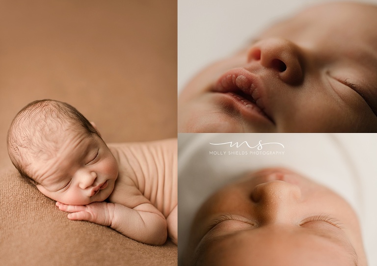 Minneapolis Newborn Photographer Molly Shields Photography